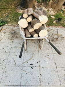 palermo-garden-abbattimento-alberi-potatura