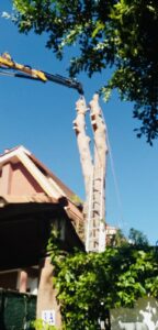 palermo-garden-abbattimento-alberi-potature
