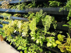 palermo-garden-giardinieri-manutenzione-potatura-giardino-verticale