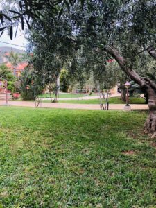 palermo-garden-giardinieri-professionisti