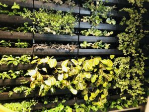 palermo-garden-giardino-verticale-bosko-vertilcale-giardiniere