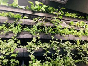 palermo-garden-giardino-verticale-giardinieri