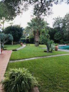 palermo-garden-manutenzione-giardini