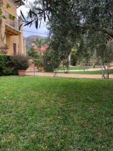 palermo-garden-manutenzione-giardino