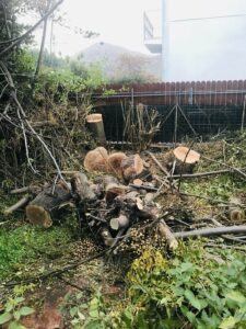 palermo-garden.abbattimento-alberi-potatura-giardiniere