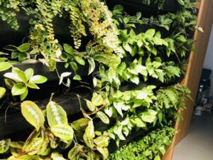 palermo-giardino-verticale-giardinieri